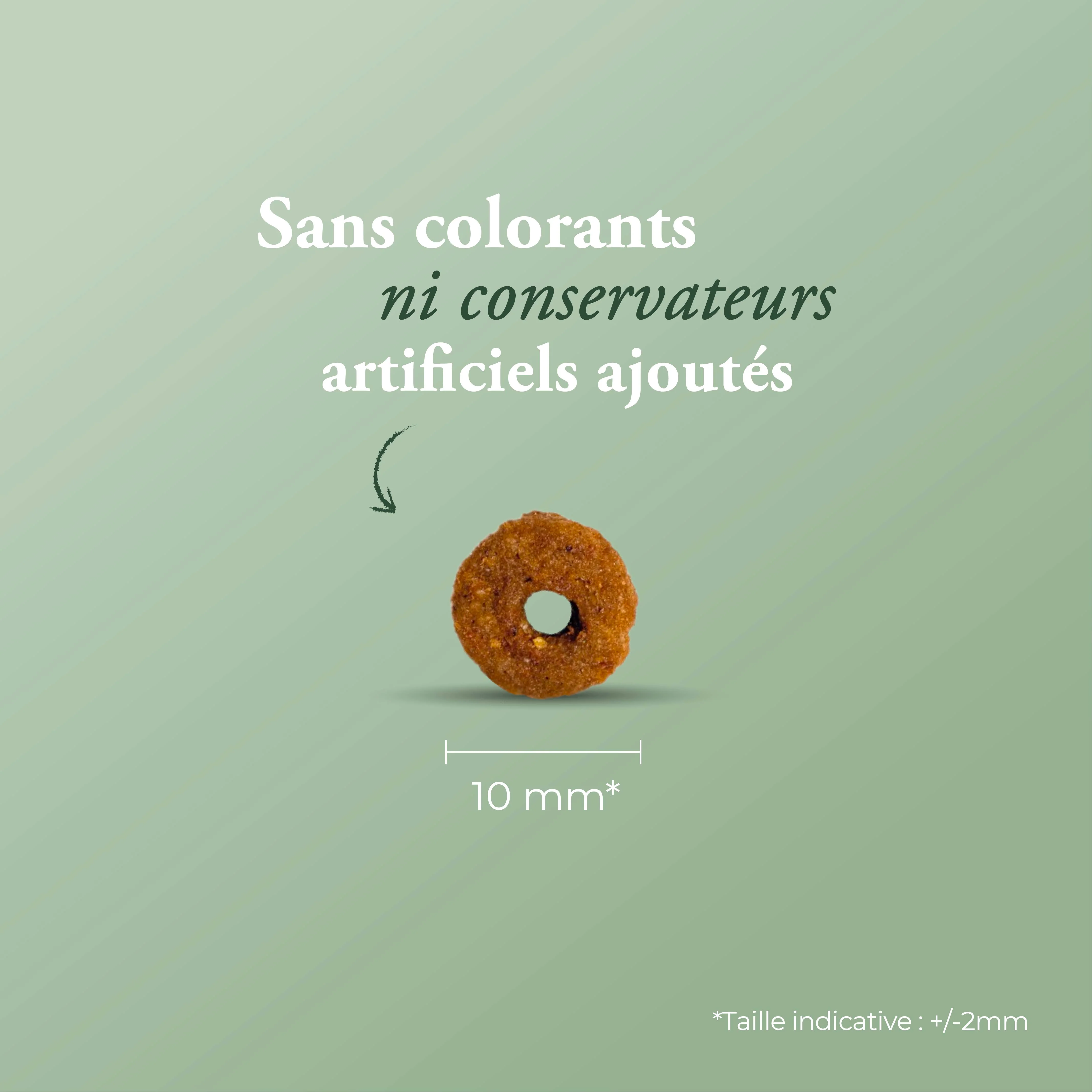 Miniature 2