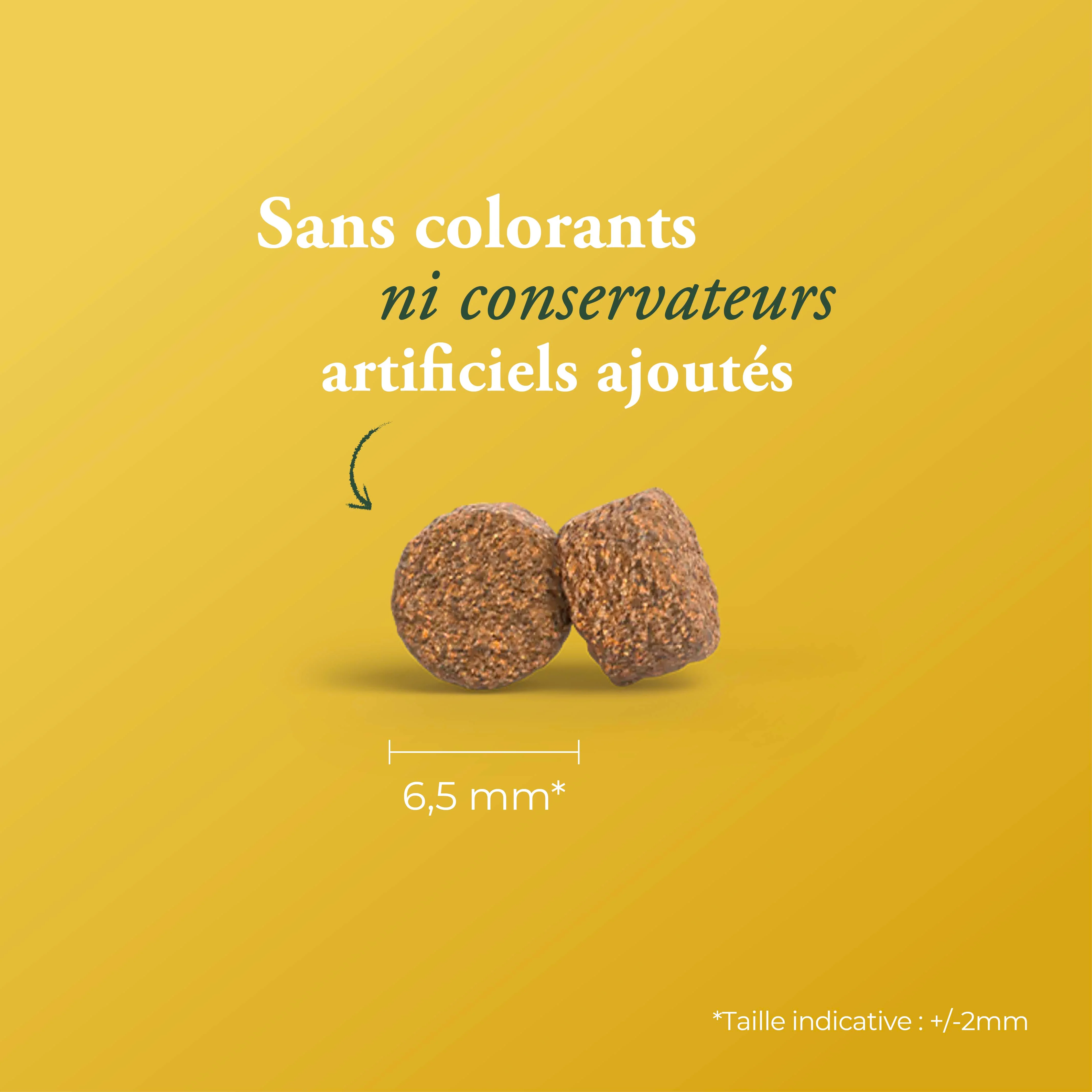 Miniature 2