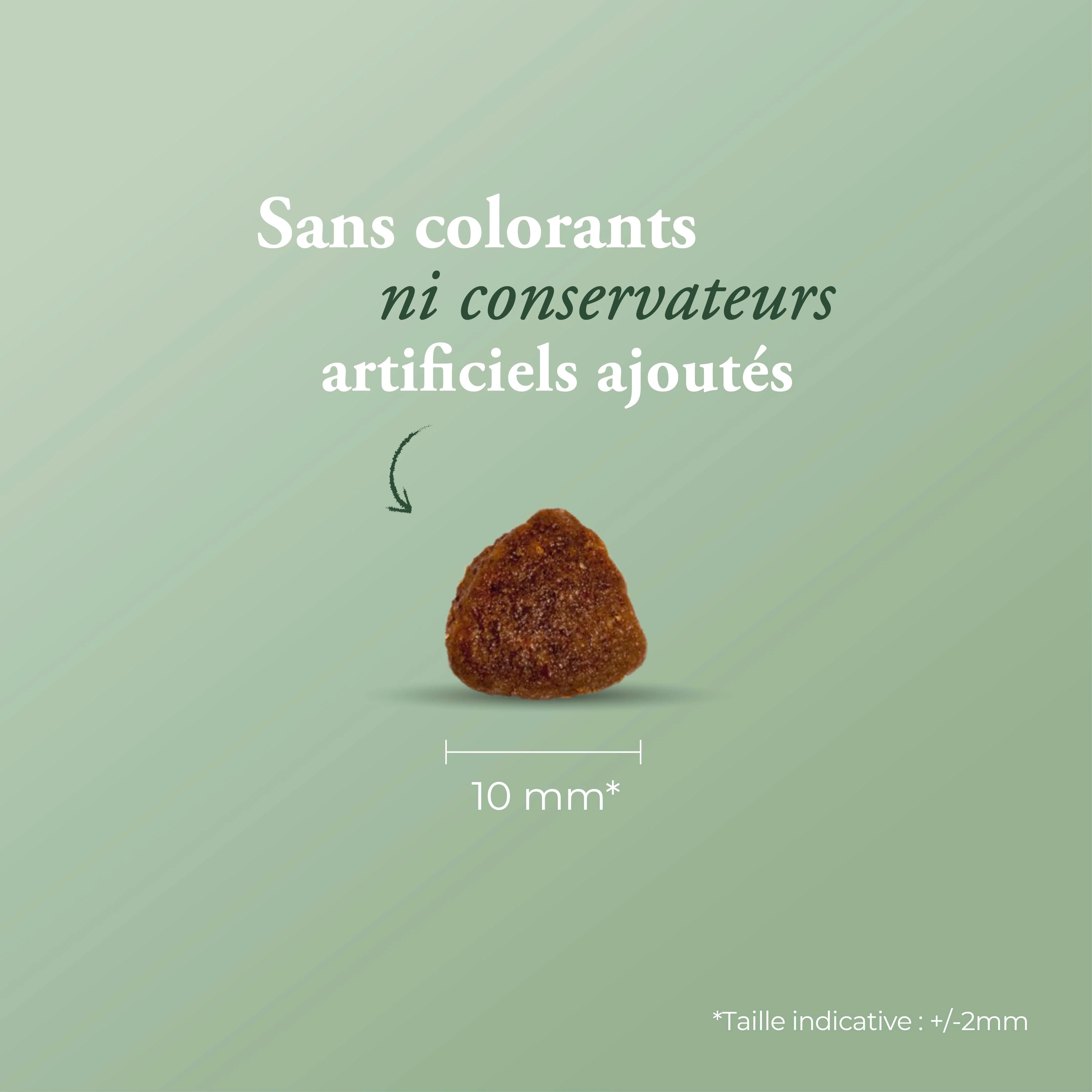 Miniature 2