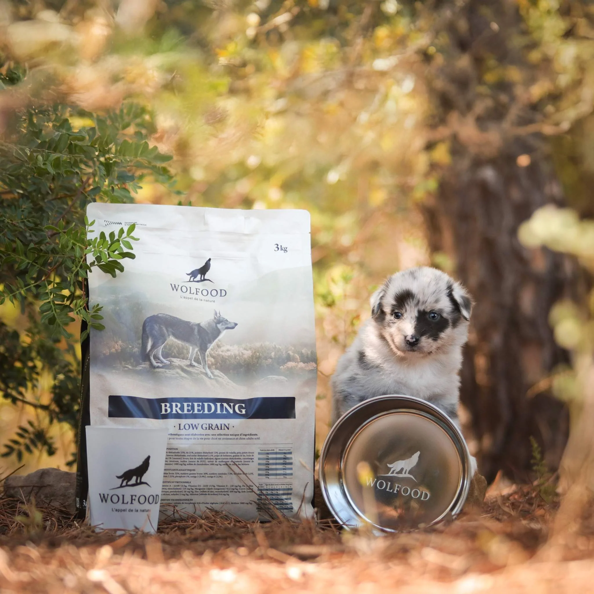 Miniature 2