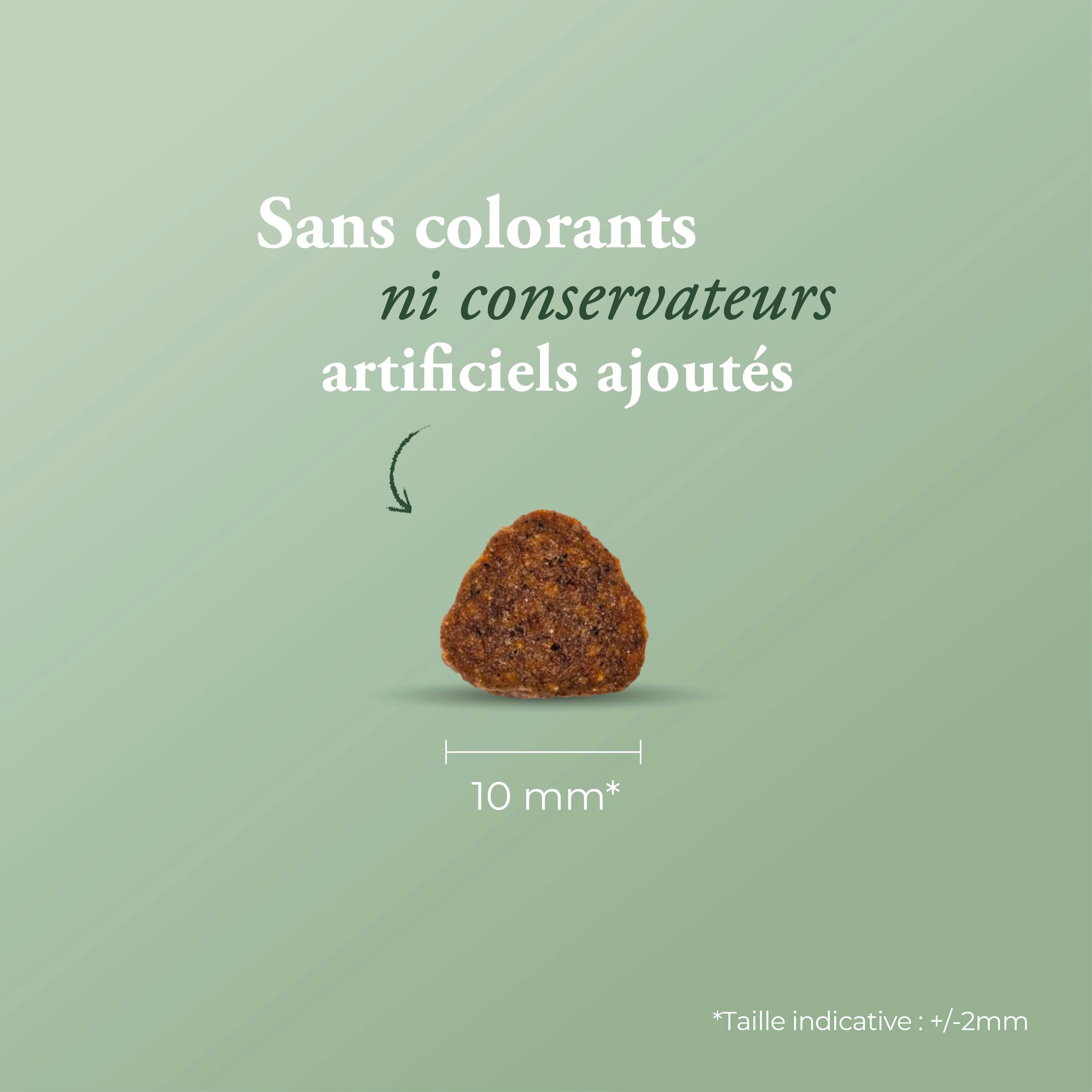 Miniature 2