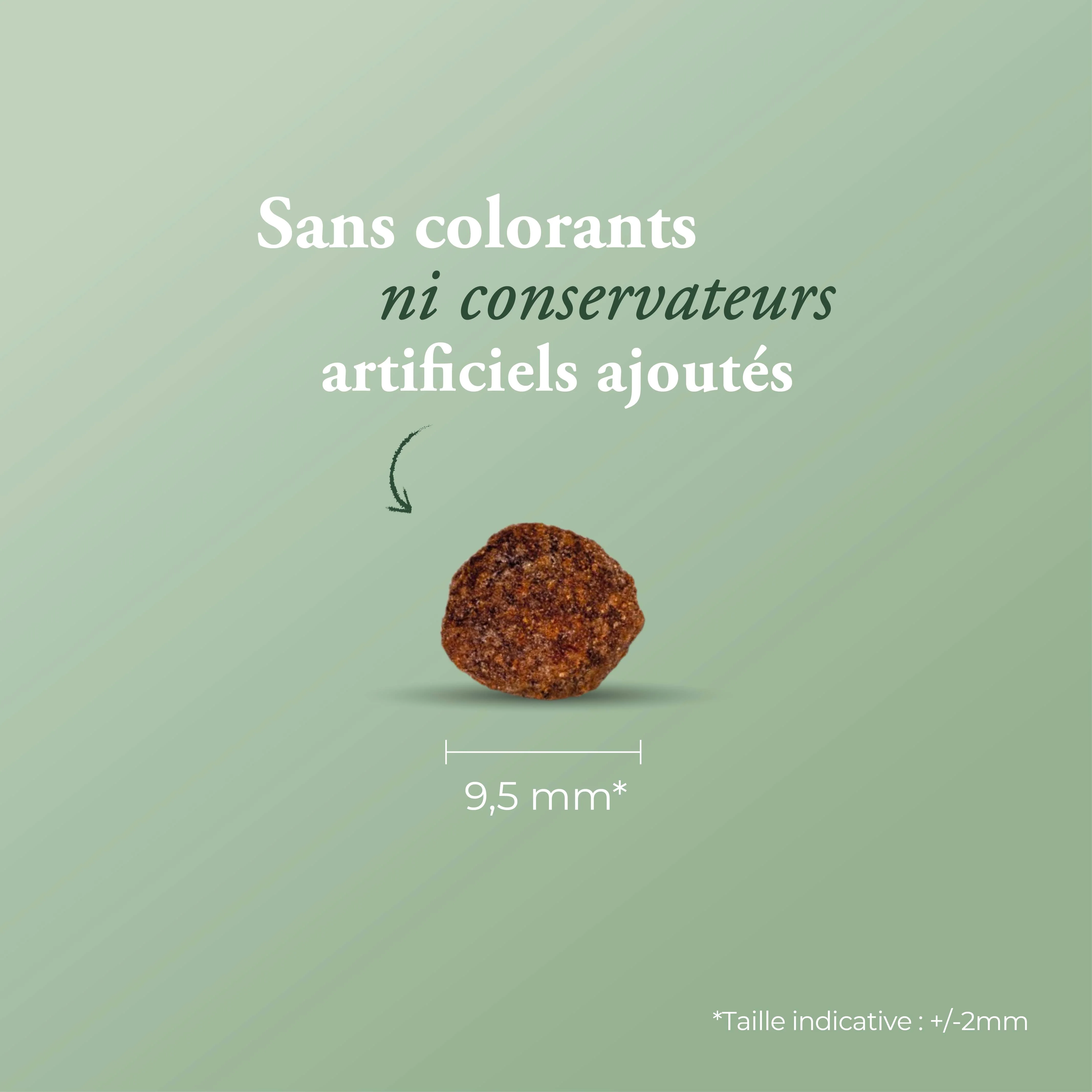 Miniature 2